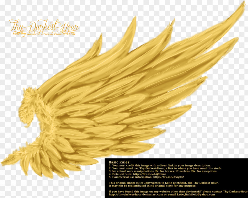 Angel Wings YouTube Gold Information PNG