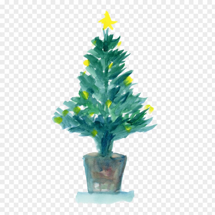 Christmas Tree PNG