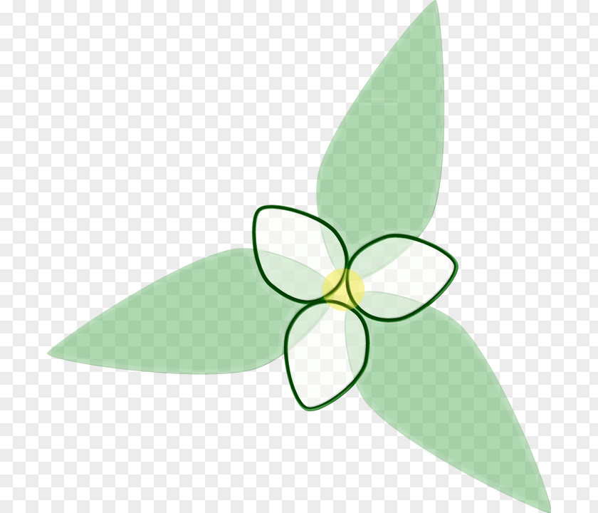 Flower Logo Green Leaf Watercolor PNG