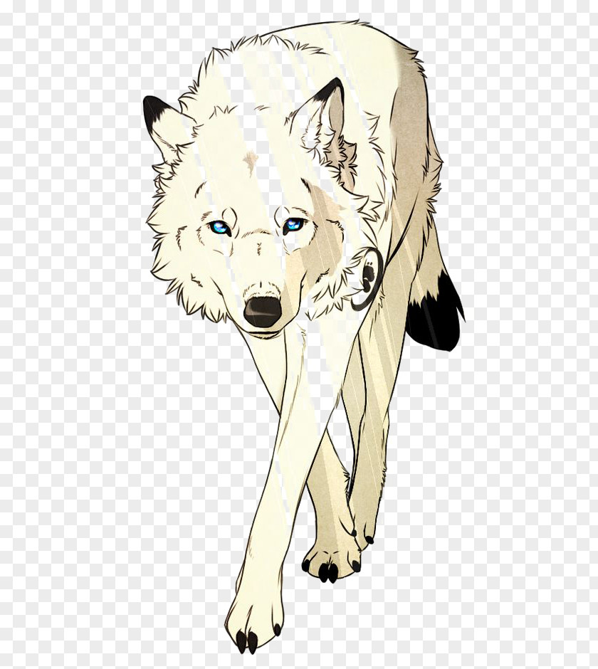 White Wolf Dog Arctic Drawing Animal Illustration PNG