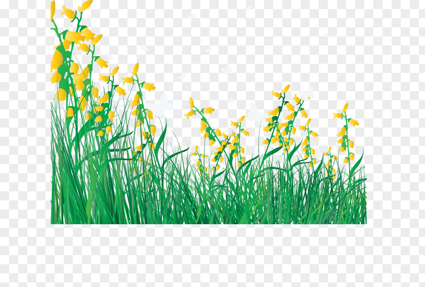 Cartoon Spring Flowers Fresh Grass Flower Lawn Clip Art PNG