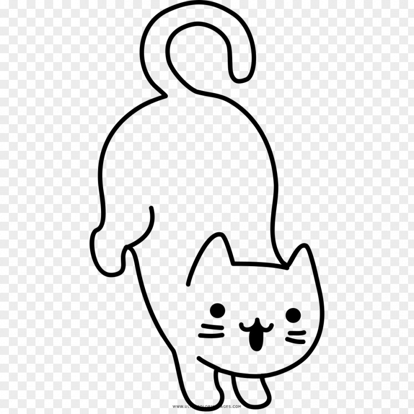 Cat Coloring Page For Kids Book Drawing PNG