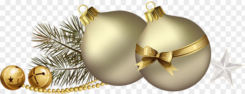 Christmas Ornament Body Jewellery Fruit PNG