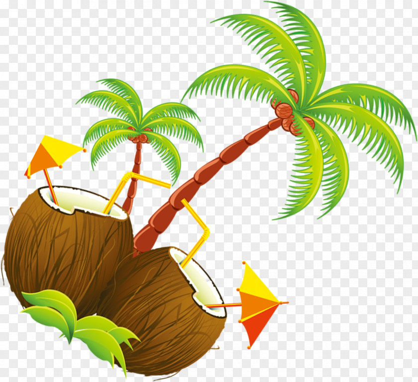 Flower Elaeis Coconut Tree Cartoon PNG