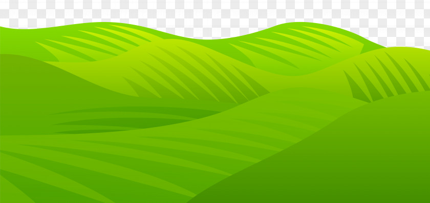 Grass Meadow Transparent Clip Art Image Green Leaf Product Angle PNG