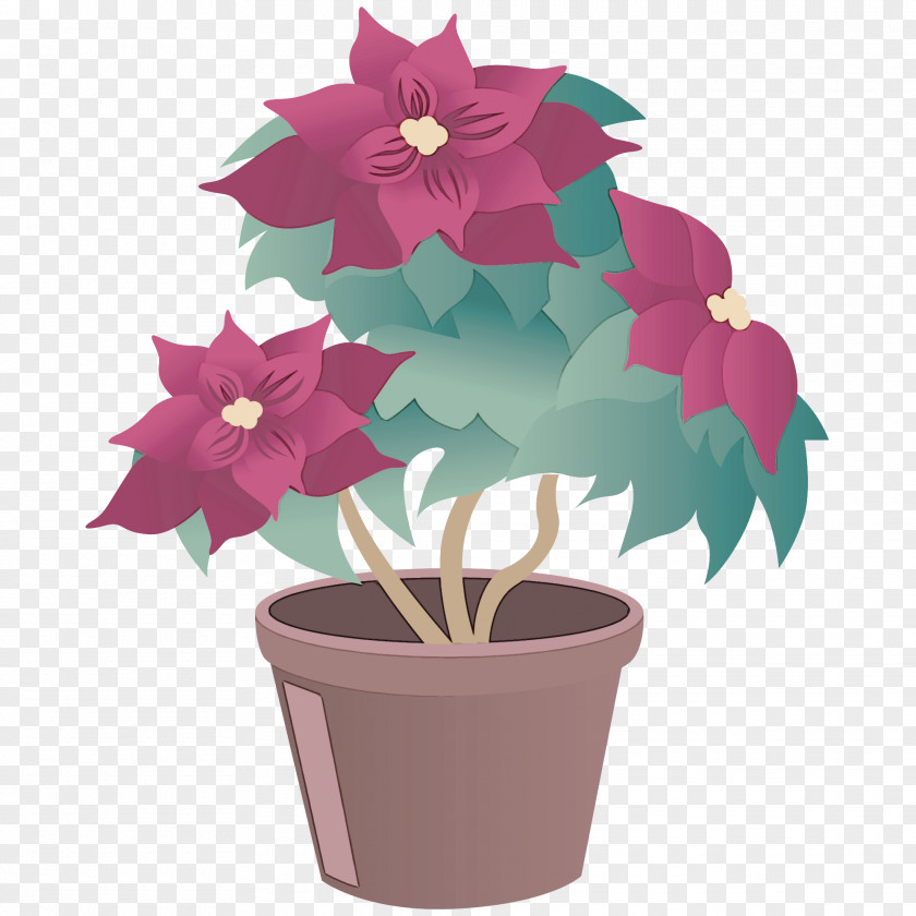 Houseplant Flowering Plant Flowerpot Flower Poinsettia Leaf PNG
