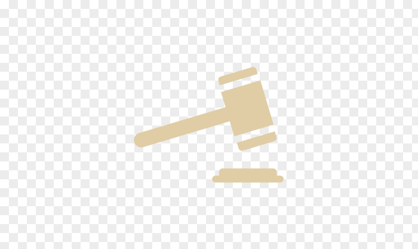 Lawyer Court Business Lawsuit PNG