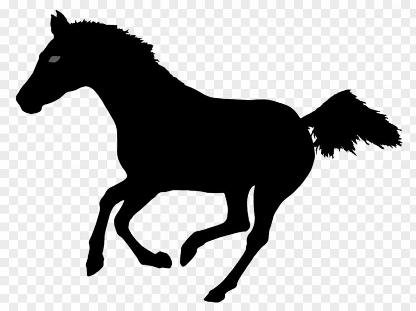Running Horse Silhouette Photography Illustration PNG