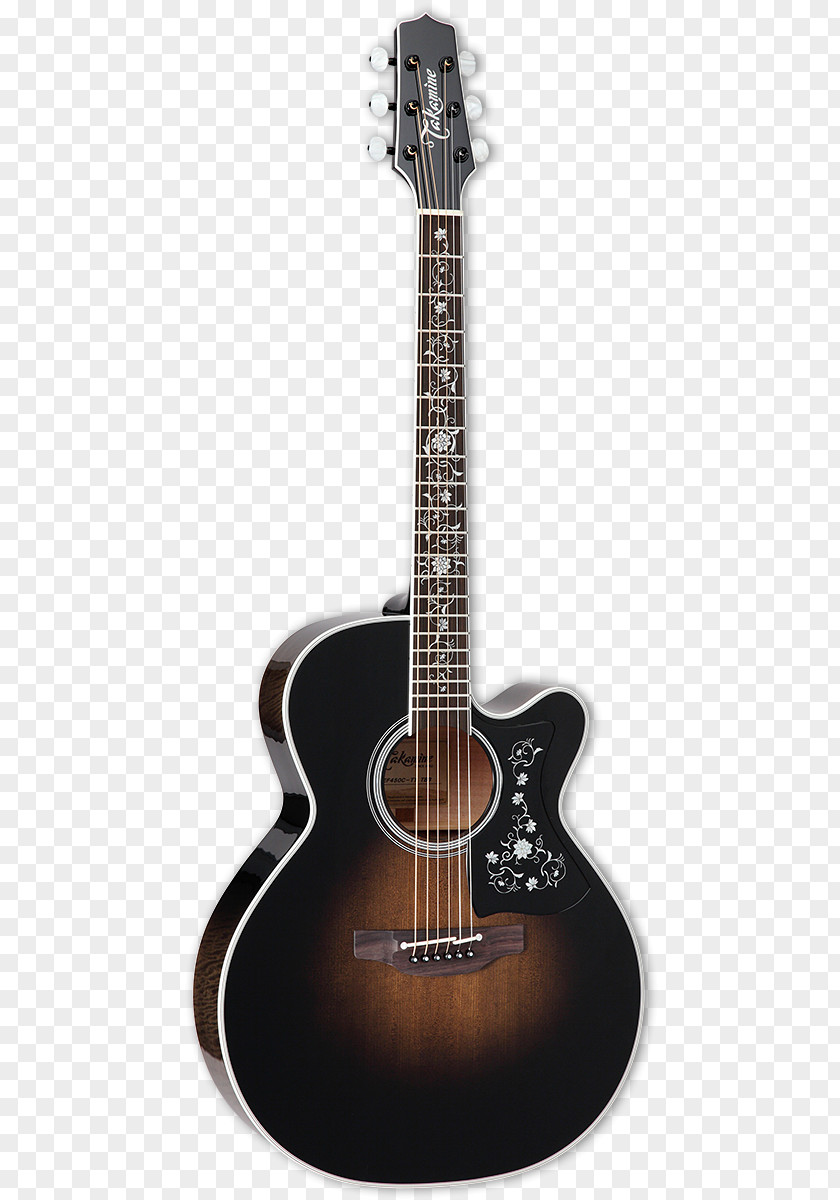 Beautiful Acoustic Guitars Takamine Guitar Acoustic-electric Cutaway PNG