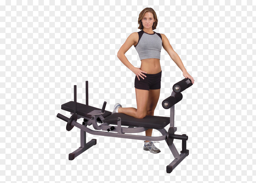 Bench Press Body Solid GAB100 AB Crunch Abdominal Exercise Body-Solid Ab PNG