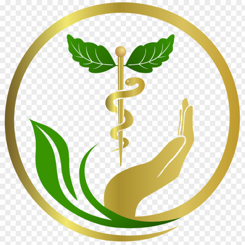 Emblem Plant Green Leaf Logo PNG