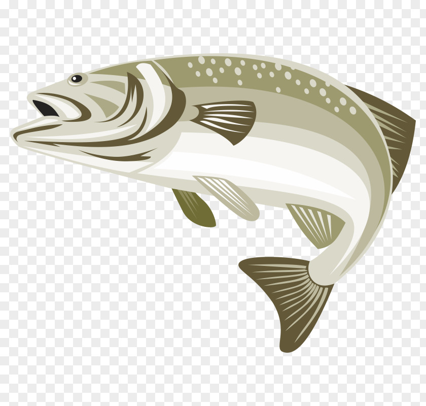 Fish Largemouth Bass Stock Photography Green Sunfish Image PNG