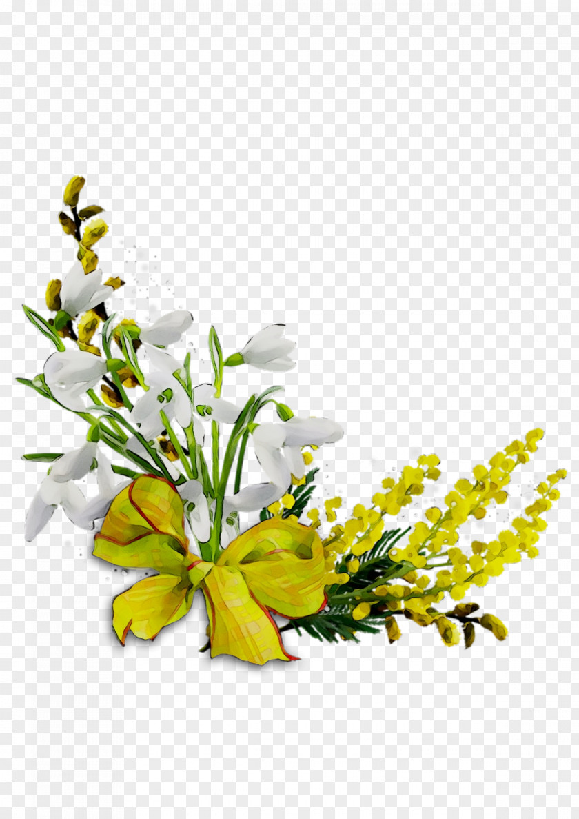 Floral Design Cut Flowers Flowering Plant PNG