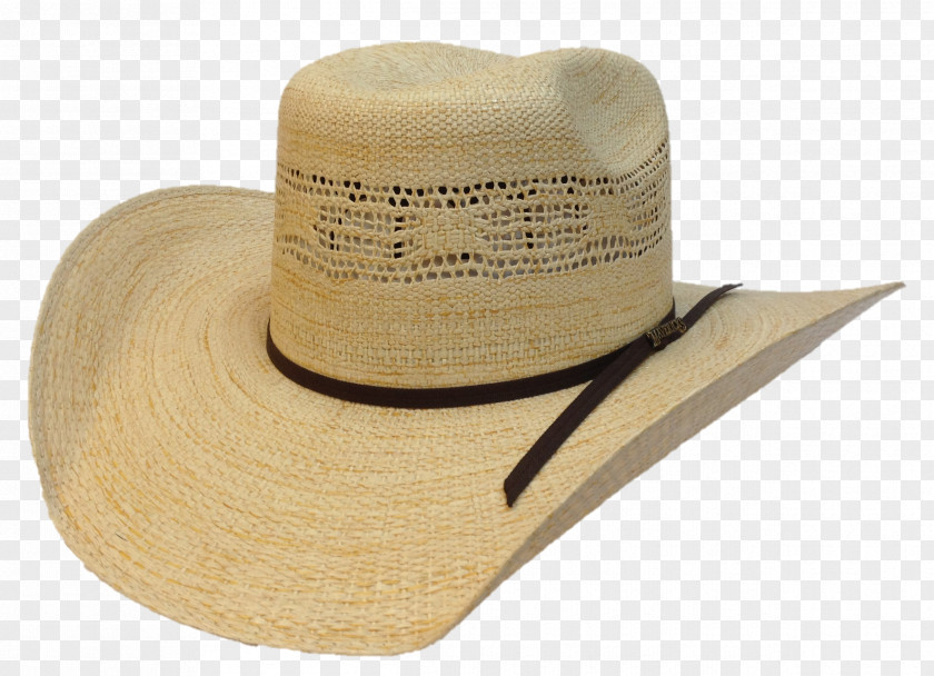 Hats Dallas Mavericks Straw Hat Headgear PNG