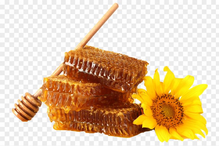 Honey Bee Common Sunflower Honeycomb Desktop Wallpaper PNG