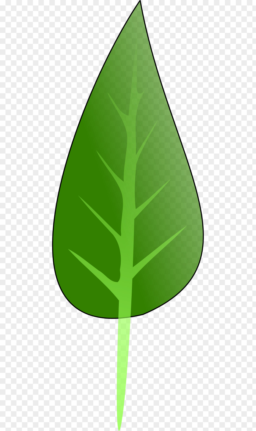 Leaf Product Design Triangle Green PNG