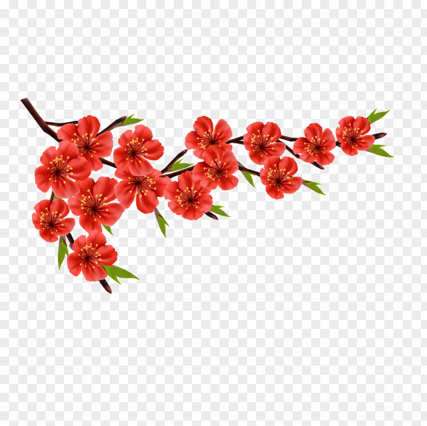 Peach Blossom Free Download Flower Red Euclidean Vector Stock Photography PNG