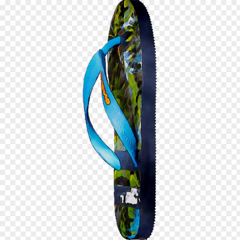 Shoe PNG