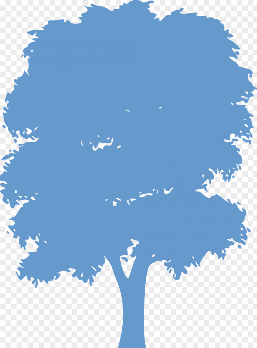 Tree Vector Graphics Clip Art Silhouette PNG