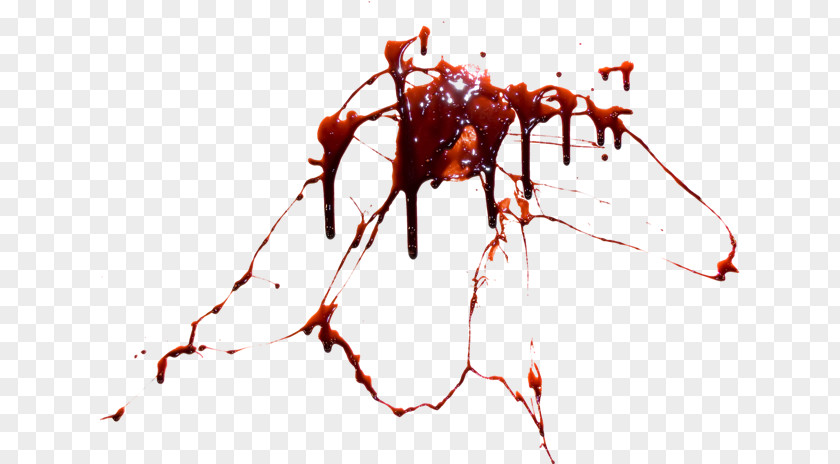 Blood Clip Art PNG