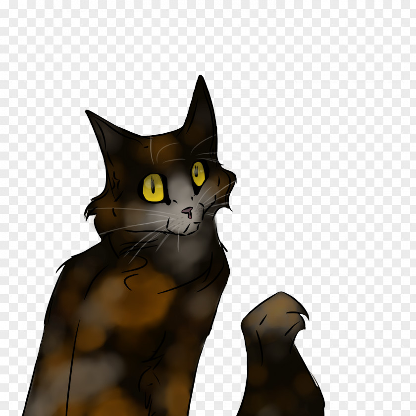 Cat Whiskers Domestic Short-haired Black Paw PNG