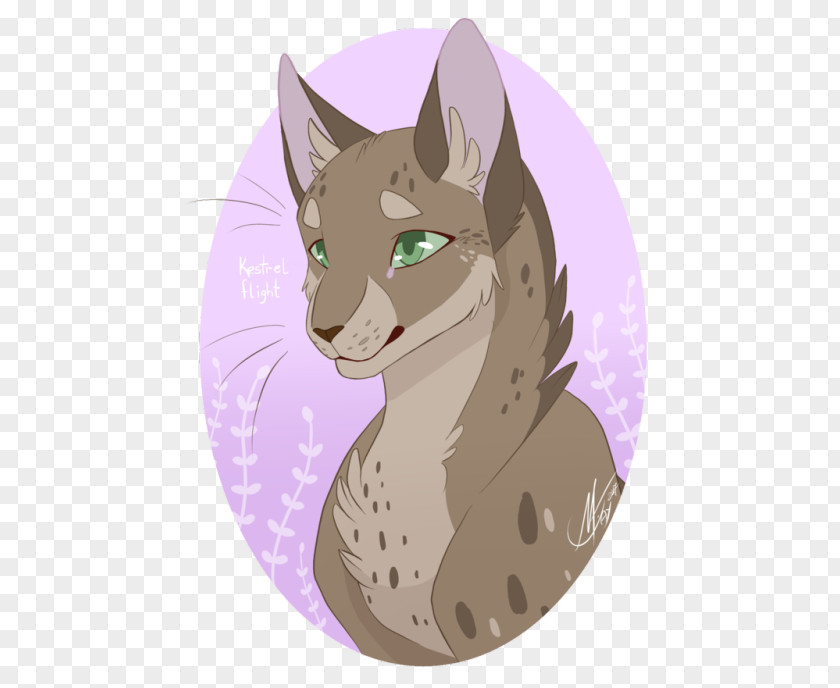 Cat Whiskers Tabby Warriors Littlecloud PNG