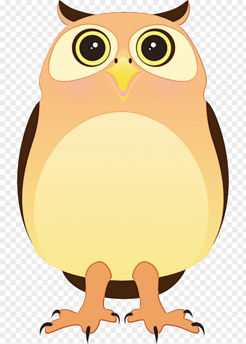 Eastern Screech Owl Yellow Bird Beak Cartoon Animal PNG