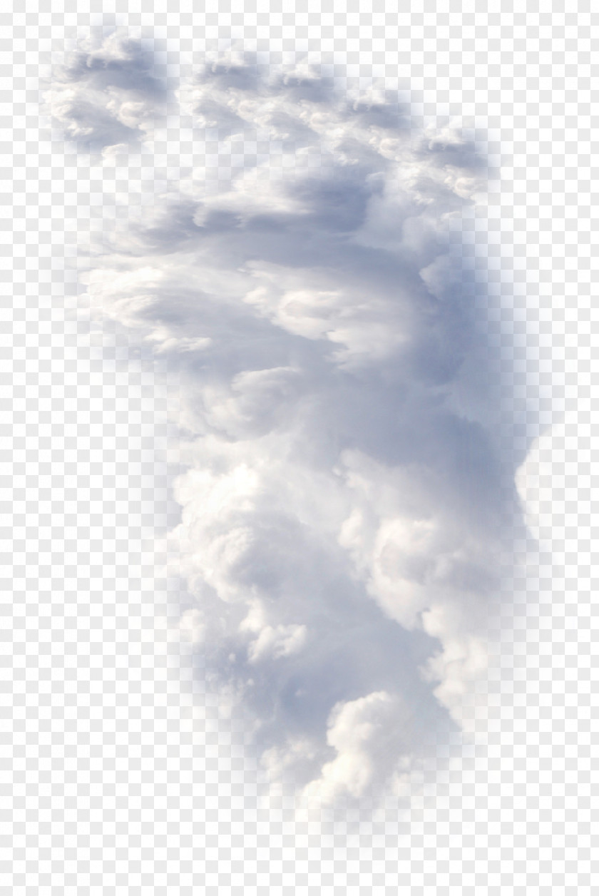 Falcon Sky Cloud Atmosphere Of Earth Blue PNG