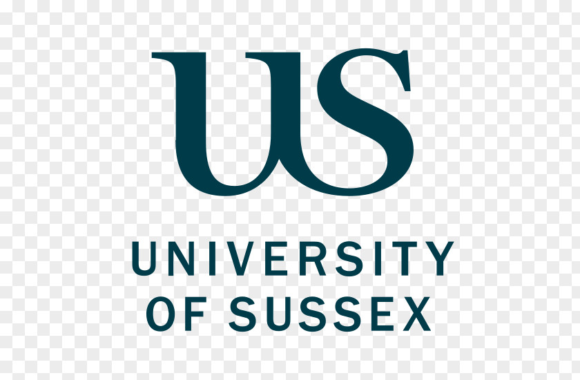 Financial Analysis University Of Sussex Master's Degree Academic Research PNG