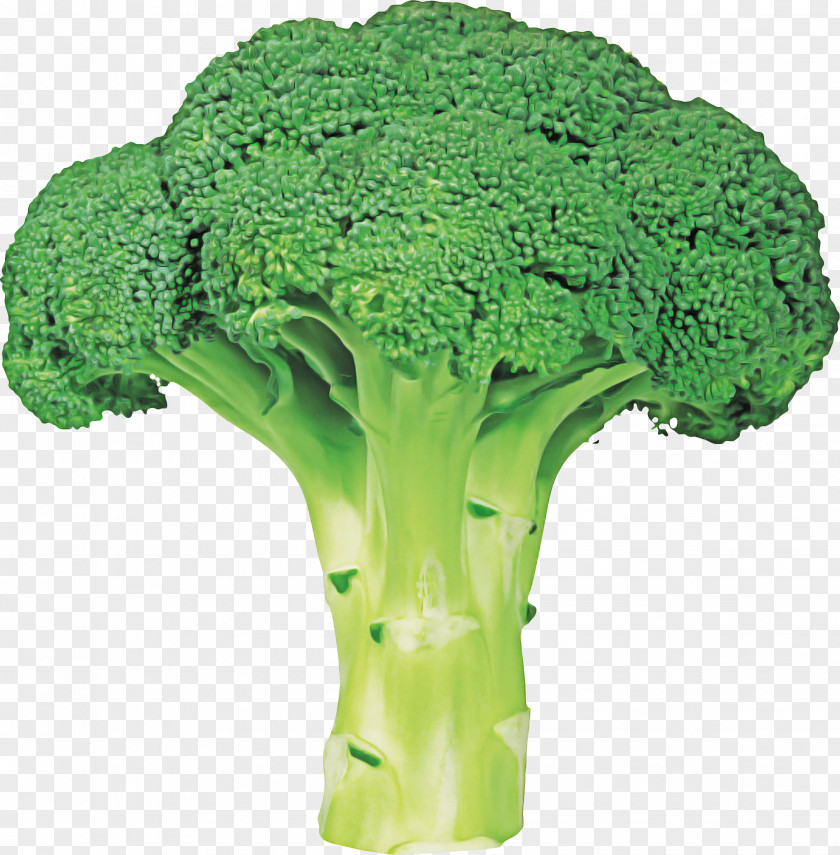 Flower Broccoflower Vegetables Cartoon PNG