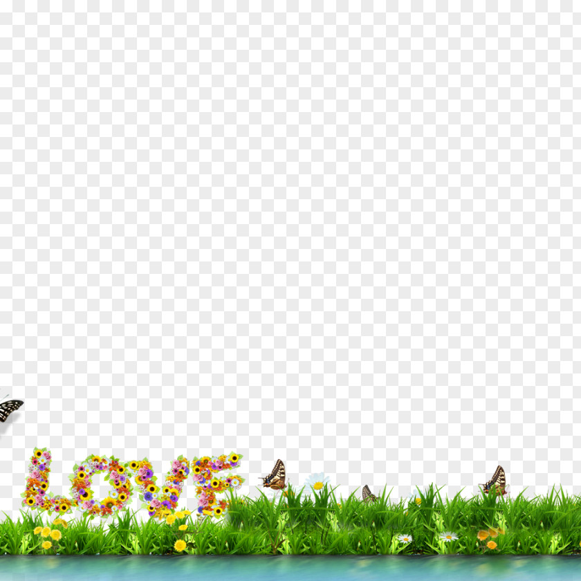 Green Grass Material Poster Wall Wallpaper PNG