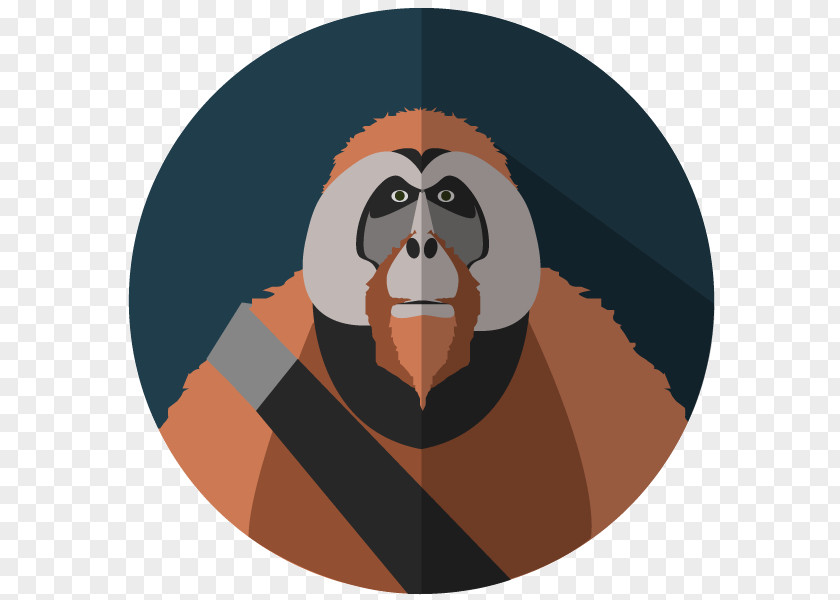 Planet Of The Apes Mammal Drawing PNG