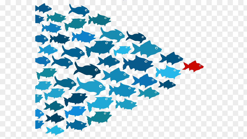 School Of Fish Transparent Leadership Development Thought Leader Management Business PNG