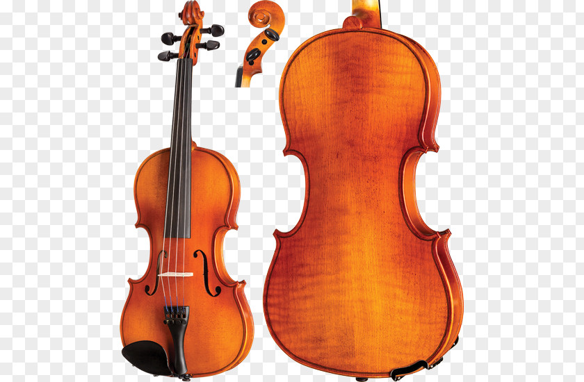 Violin String Instruments Double Bass Viola Cello PNG