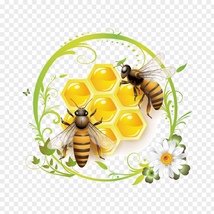 Bees And Honey Bee Clip Art PNG