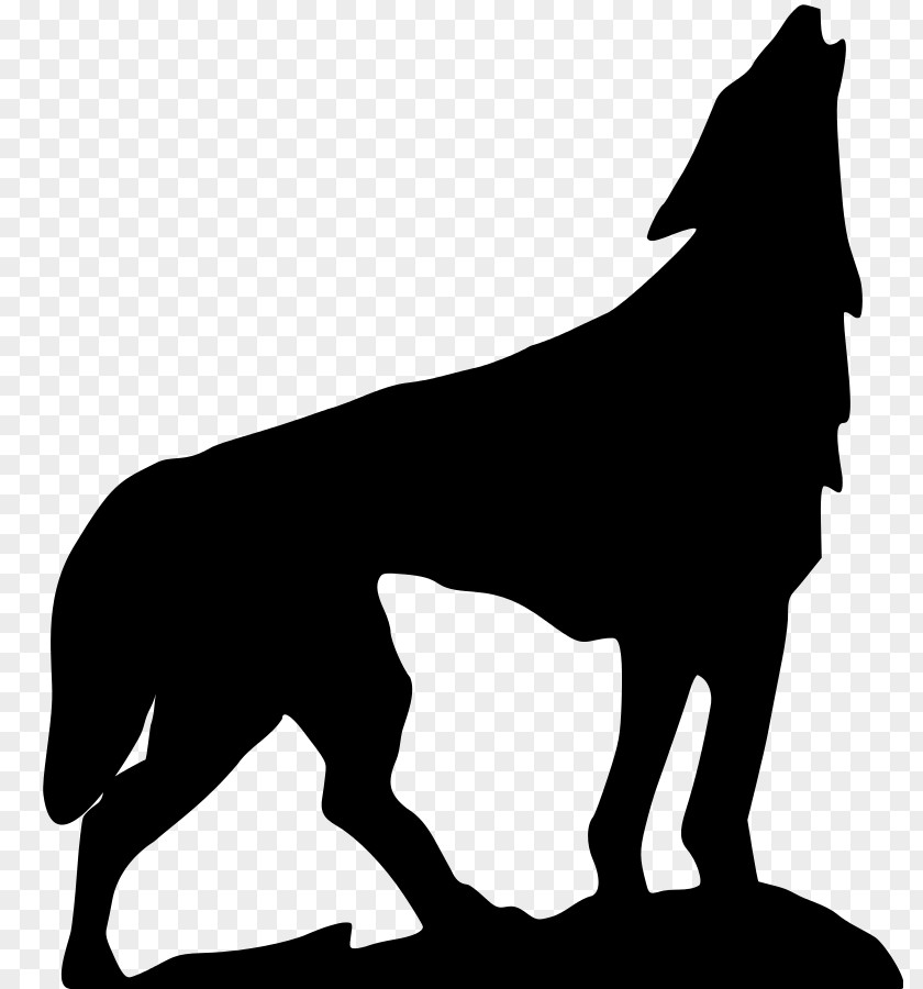 Gray Wolf Clip Art PNG