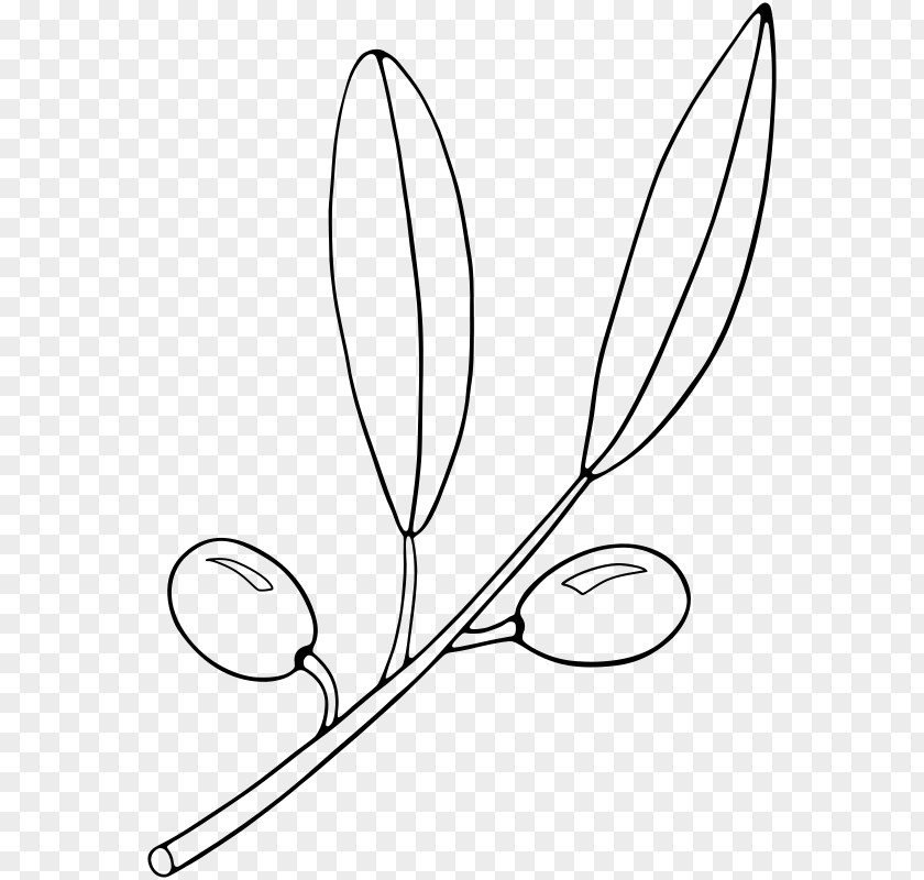 Olive Branch Martini Clip Art PNG