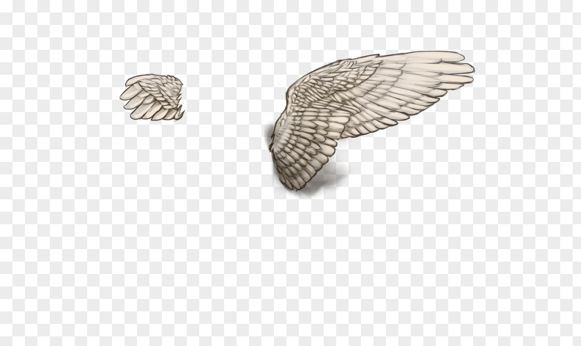 White Wings Silver PNG