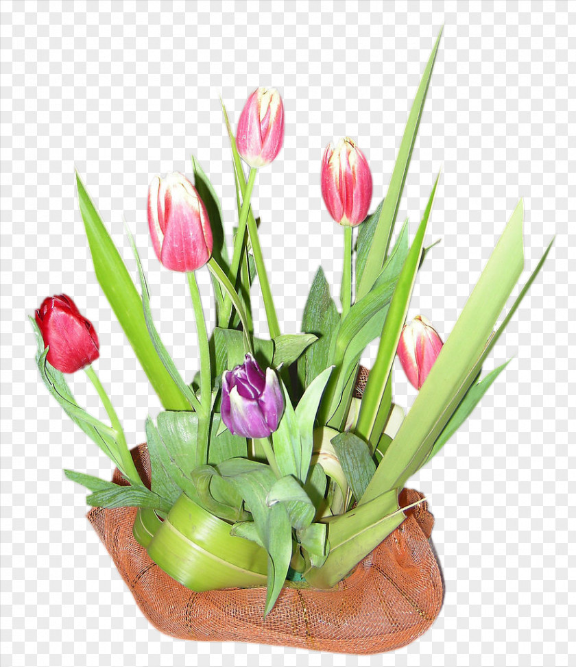 A Bouquet Of Beautiful Flowers Tulip Flower PNG