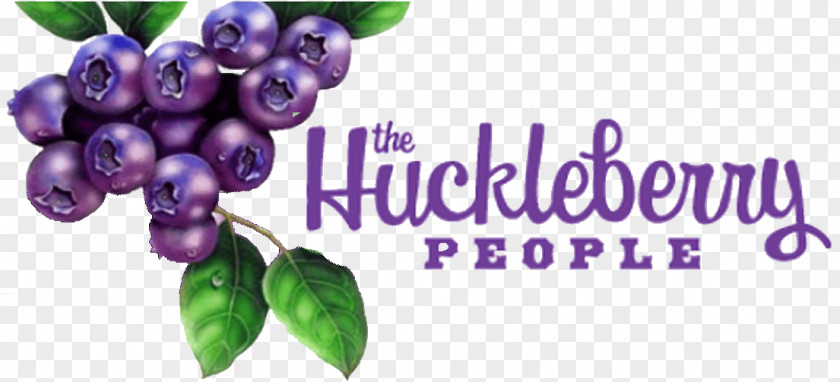 Berries Huckleberry Food Grape PNG