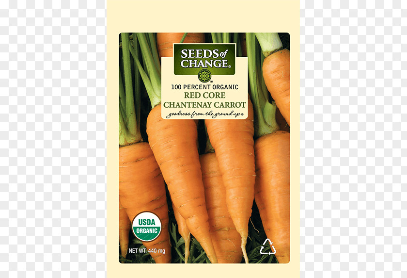 Carrot Baby Organic Food Tatsoi Seed PNG