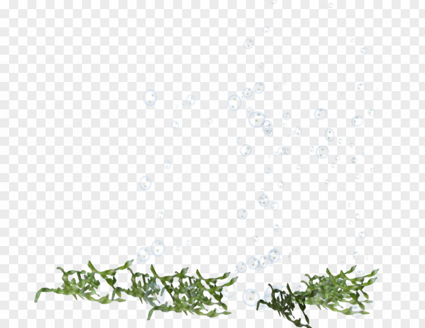 Design Twig Floral Green PNG