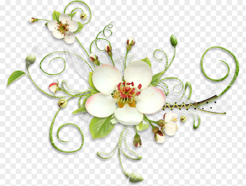 Green Floral Desktop Wallpaper Flower Clip Art PNG