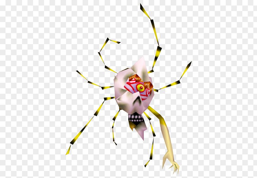 Insect Orb-weaver Spiders Line Clip Art PNG