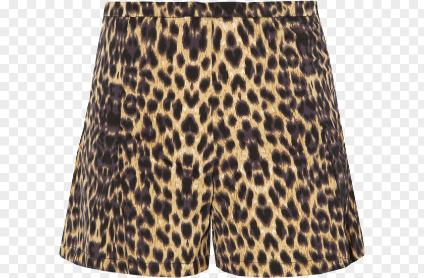 Leopard Tommy Hilfiger Shorts Harem Pants Top PNG