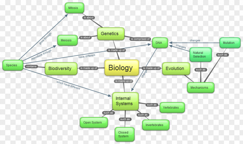 Map Concept Biology Cell PNG