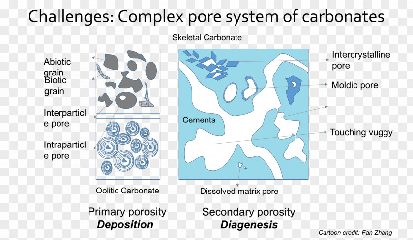 Research Cartoon Porosity Carbonate Rock Geophysics PNG