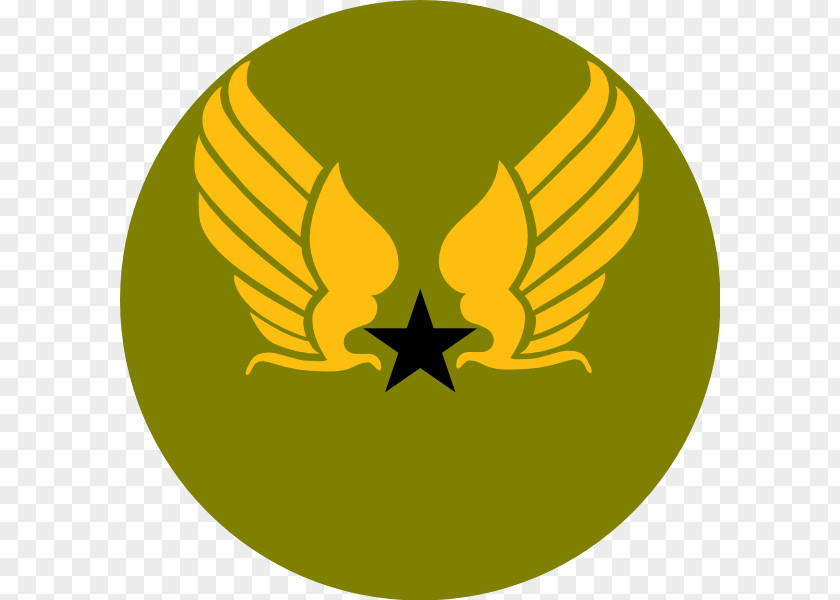 United States Air Force Symbol Army Forces PNG