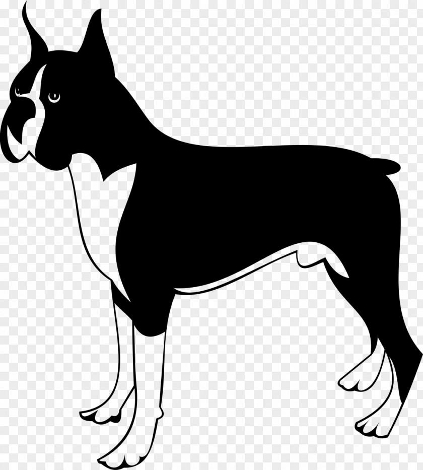Boston Terrier Dog Breed Clip Art Character PNG