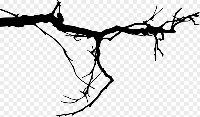 Branch Tree Silhouette Clip Art PNG